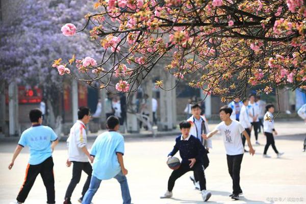名师聊作文:六语下册,第六单元综合性活动《难忘小学生活》