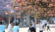 名师聊作文：六语下册，第六单元综合性活动《难忘小学生活》