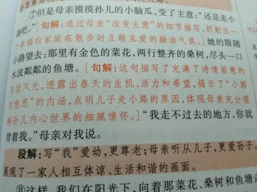 描写散步的优美段落