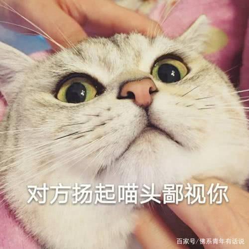 不想用“李白,杜甫”这些老素材?这些素材,让你的作文提升20分 17