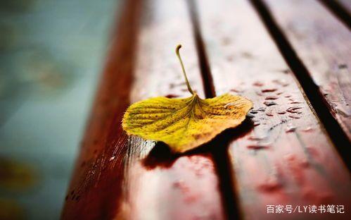 走人间正道,赴光明未来——稻盛和夫《活法》读后感 2