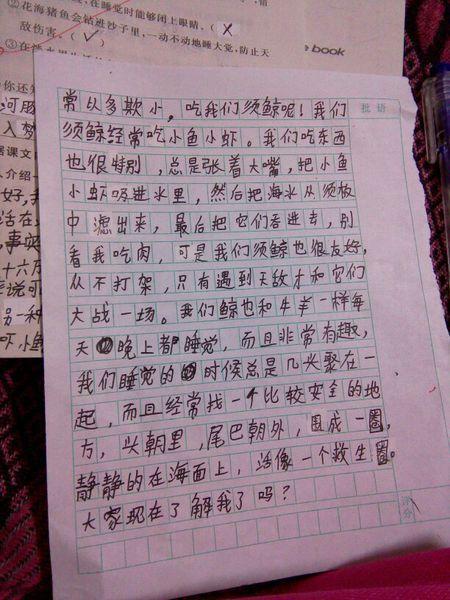 关于须鲸的自述作文