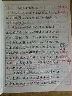 家350字作文