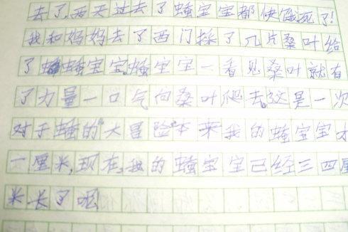 打弹子作文550字