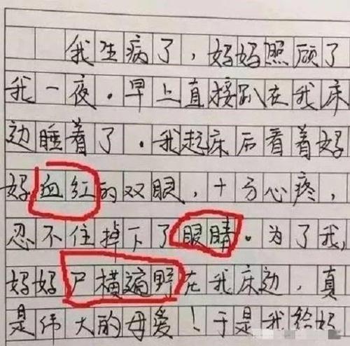 面子的作文4篇