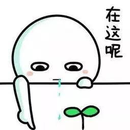 福利|雅思大作文开头段的3个必备要素！76篇西门考官9分大作文范文！