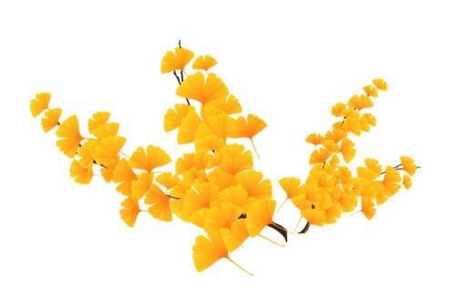 关于秋天的优美段落