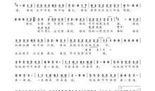 读《在可可西里回头》有感_700字