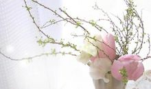 《经营为什么需要哲学》读后感(上)