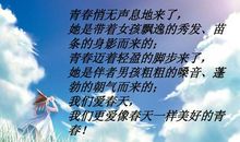 放飞梦想励志演讲稿