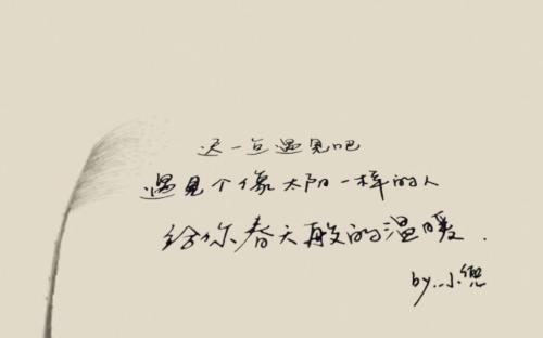 遇见温暖-生活中的温暖作文500字