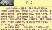 对不起，我的朋友-关于友情的作文800字