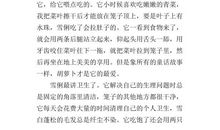 五年级我的心爱之物作文500字