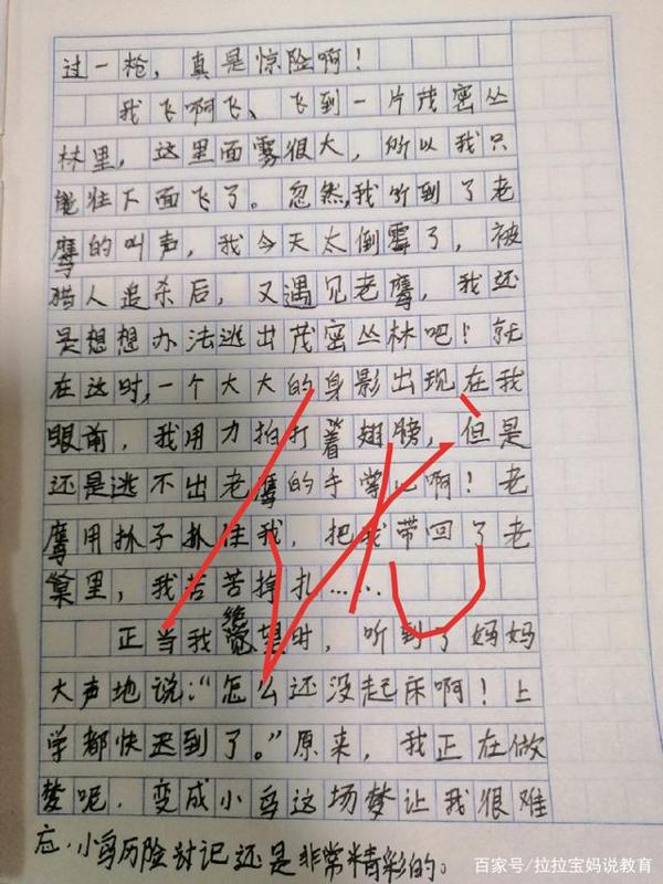 小学三年级优秀作文《我会变成什么》赏析 14