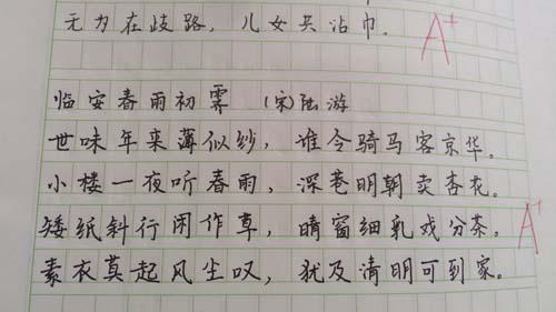 交流会 小学写事作文400字