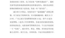 特殊的春节 关于疫情的作文450字