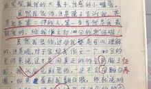 展现“高情商”的小学作文，被征服的老师必须给100分