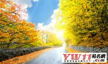 描写秋天的优美语句