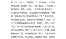 单元作文：岩石缝中的松树_1500字