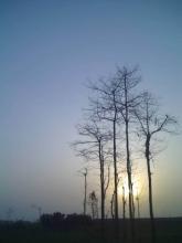 家乡的清晨Morning In My Hometown_500字