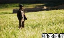 关于麦田里的守望者的读后感1000字