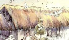 分享小学生作文，我阅读，我快乐，《草房子》读后感