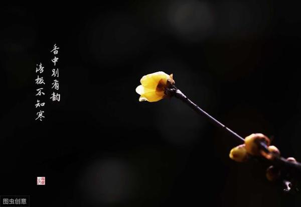 原创 授人以鱼不如授人以渔，家长老师做好这2点，孩子作文轻松拿高分 1