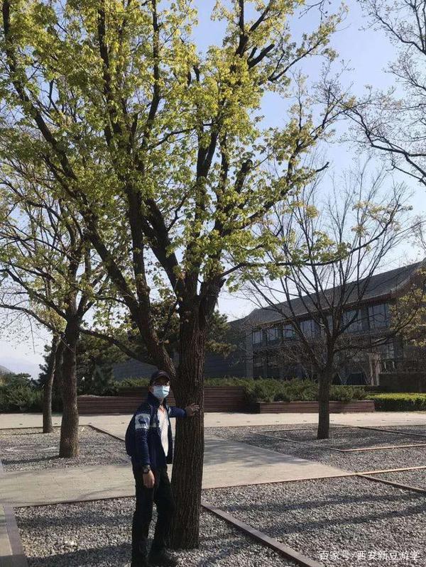 「小营员作文」从一场“踏青”悟出的道理 2