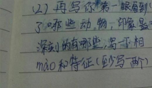 初三英语作文：动物园游玩_1000字
