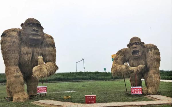 全景呈现:方正县首届稻作文化节盛大开幕! 22