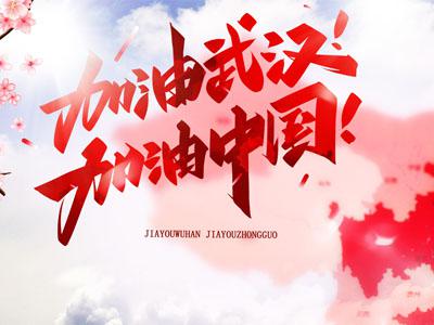 武汉加油！中国加油！ 抗疫情作文900字