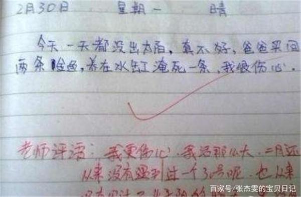 小学生作文只写8个字,故事情节跌宕起伏,老师:你是天才