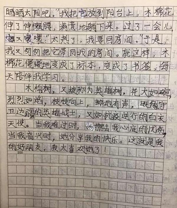 遵循自己内心的真情实感去描写:《我的植物朋友——木棉》点评 3