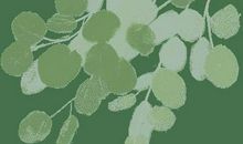 【投票】快为你喜欢的作文点个赞