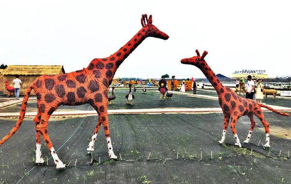 全景呈现:方正县首届稻作文化节盛大开幕! 20