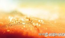 关于中段考的作文：中段试卷发下来以后