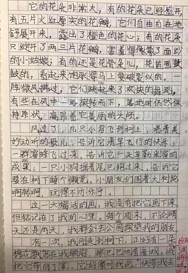 遵循自己内心的真情实感去描写:《我的植物朋友——木棉》点评 2