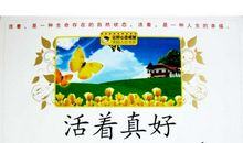 美丽人生书中藏 我和书的故事作文600字