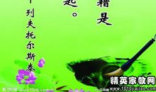 关于生活的外国名言警句精选_500字