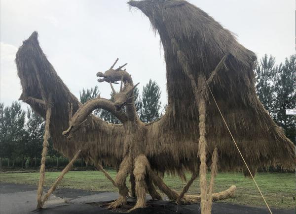 全景呈现:方正县首届稻作文化节盛大开幕! 19