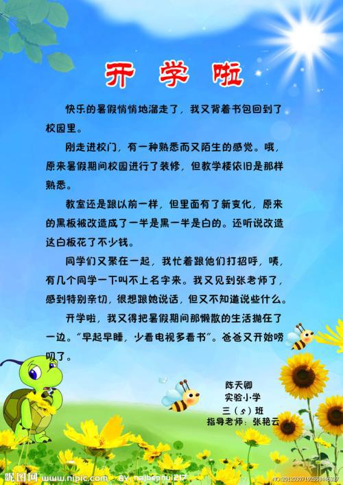 我家的小乌龟作文300字