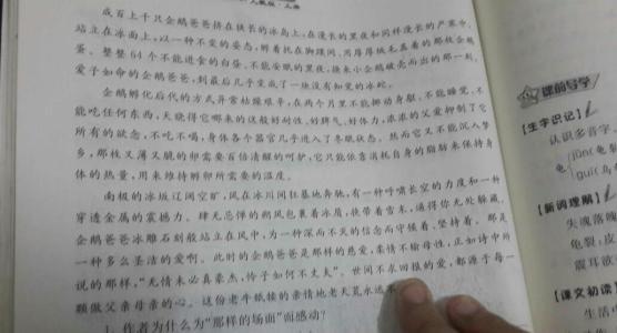 阅读父亲 关于父爱的作文600字