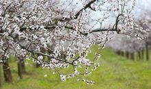 小学生不爱写作文怎么办？语文老师告诉你怎么办