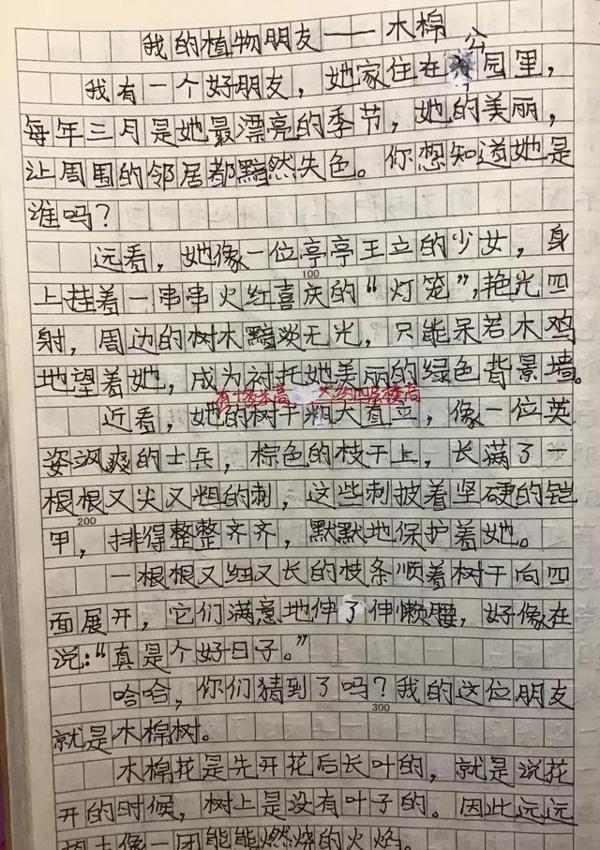 遵循自己内心的真情实感去描写:《我的植物朋友——木棉》点评 1