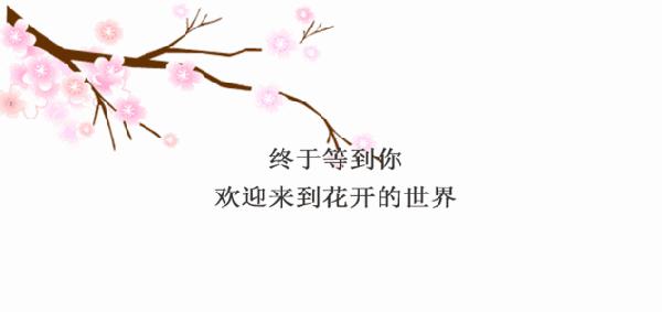 2007年临沂中考满分作文赏析：静对花开花谢_900字