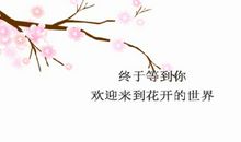 2007年临沂中考满分作文赏析：静对花开花谢_900字