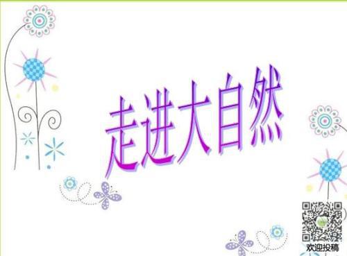 走进大自然_400字