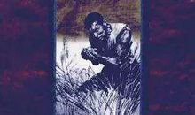 【荐读】月亮光再亮，晒不干谷子 ——《黄河东流去》读后感