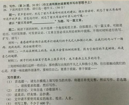 留只耳朵听那声叮咛 记叙文范文700字