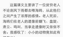 《老人与海》读后感优秀作文